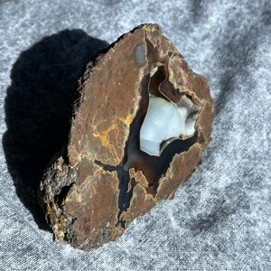 Thunderegg Oregon geode lava crystal mineral natural home mantle decor gemstone